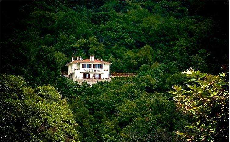 Hotel Rastoni Pelion Vyzítsa Exterior foto