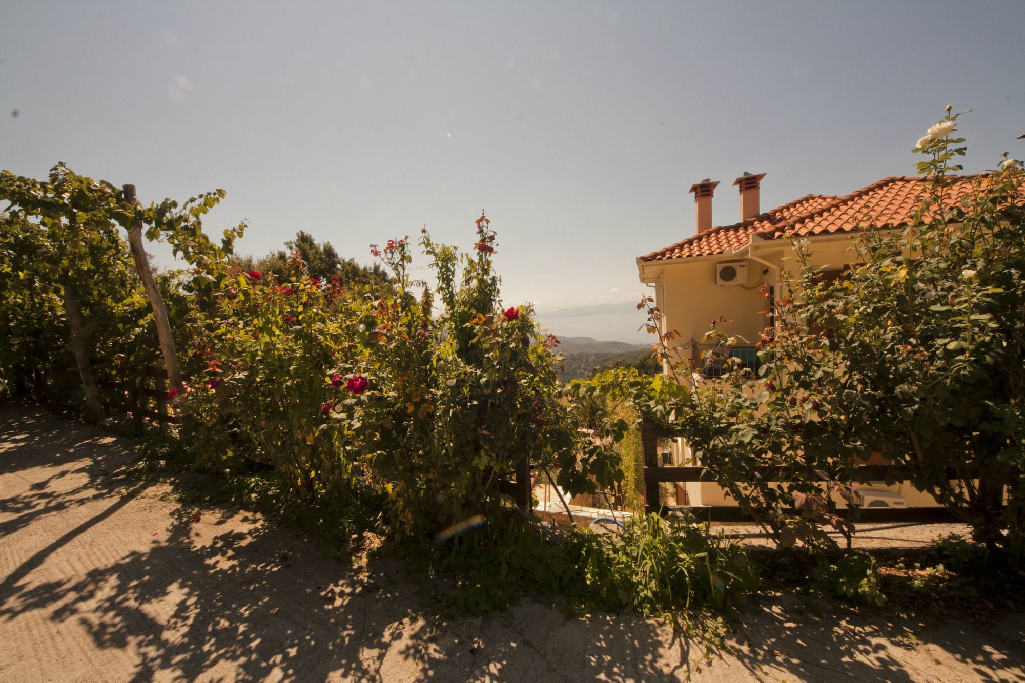 Hotel Rastoni Pelion Vyzítsa Exterior foto